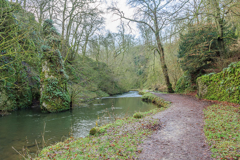Pike Pool